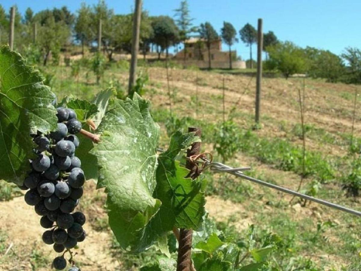 Agriturismo Colle Pu Pieve San Nicolo Экстерьер фото