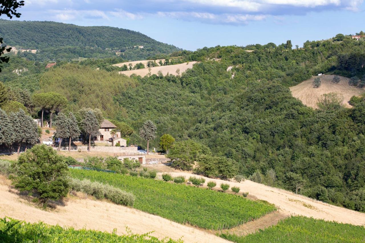 Agriturismo Colle Pu Pieve San Nicolo Экстерьер фото