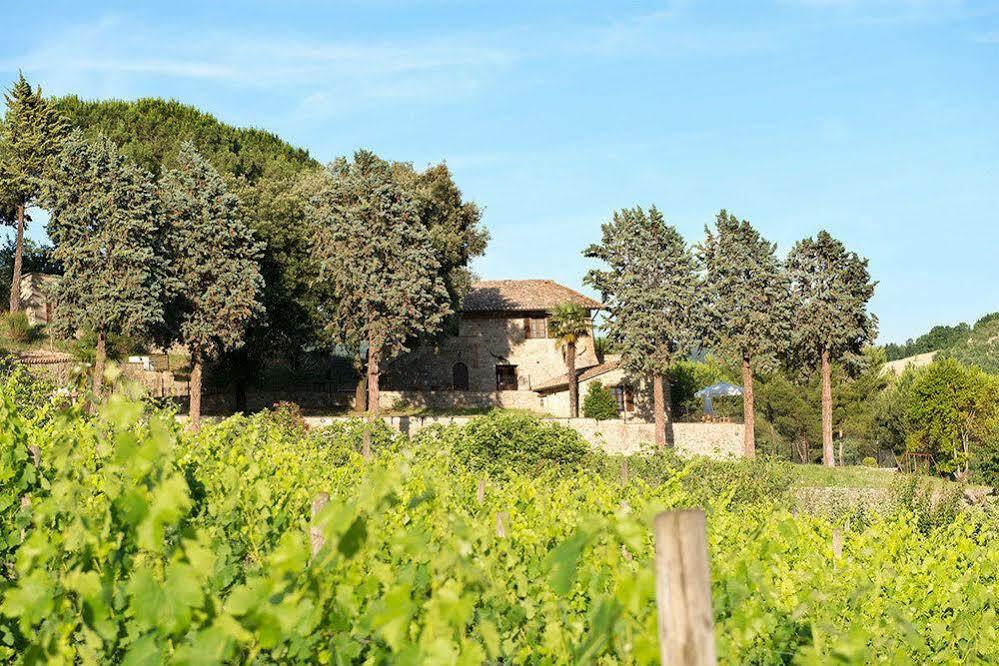 Agriturismo Colle Pu Pieve San Nicolo Экстерьер фото