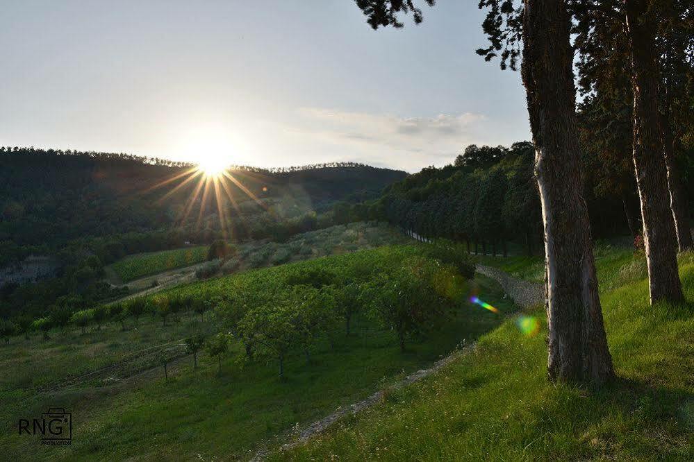 Agriturismo Colle Pu Pieve San Nicolo Экстерьер фото