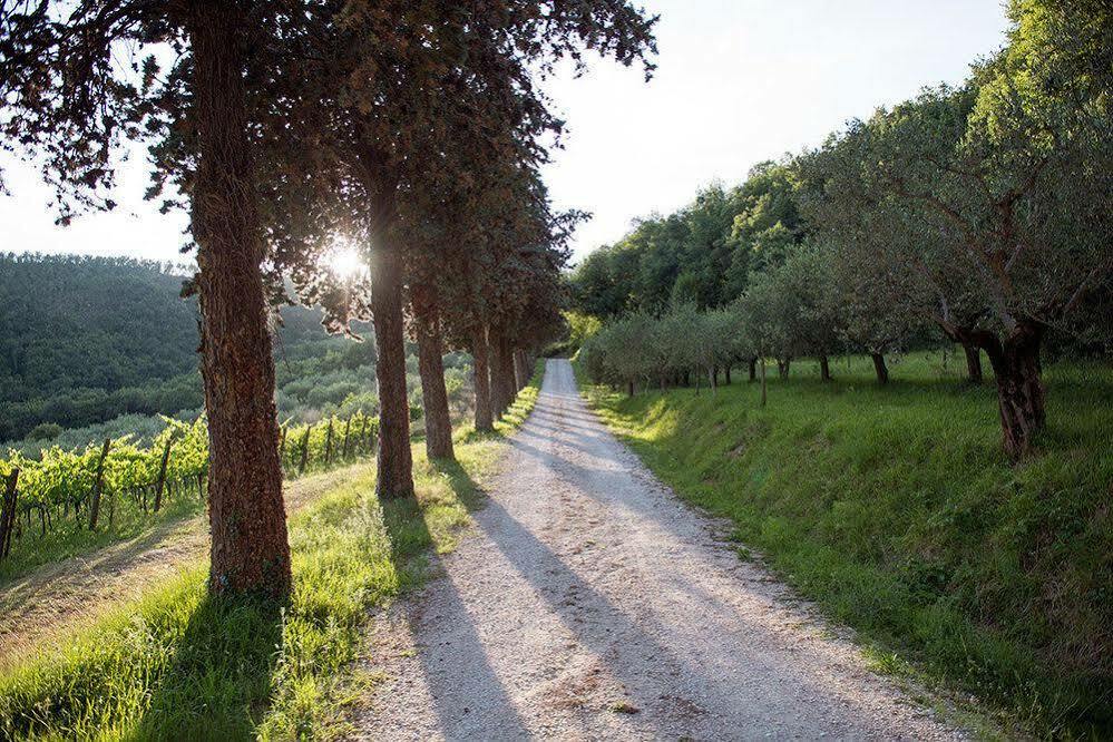 Agriturismo Colle Pu Pieve San Nicolo Экстерьер фото